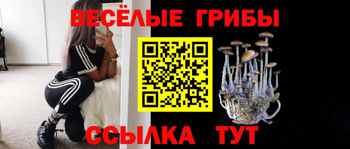 Галлюциногенные грибы Psilocybine cubensis  Галлюциногенные грибы Psilocybe  Вход с VPN  Новочеркасск 
